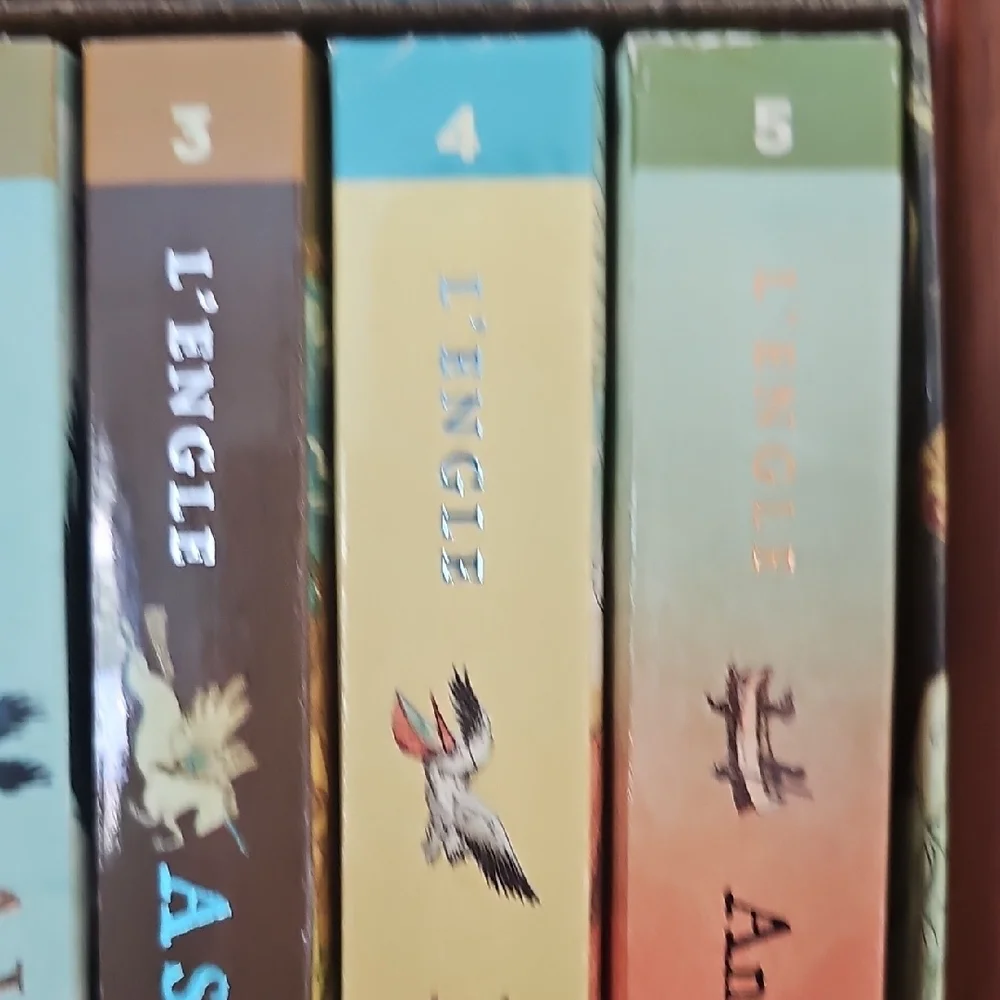 Wrinkle In Time Book Set - Picture 5 of 10
